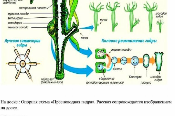 Как зайти на сайт мега онион