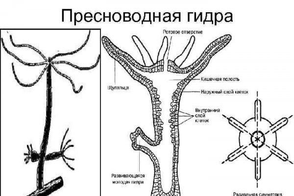 Мега даркнет маркет ссылка на сайт