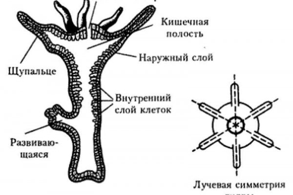 Mega market зеркала