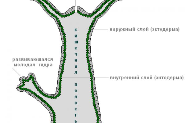 Почему не работает мега